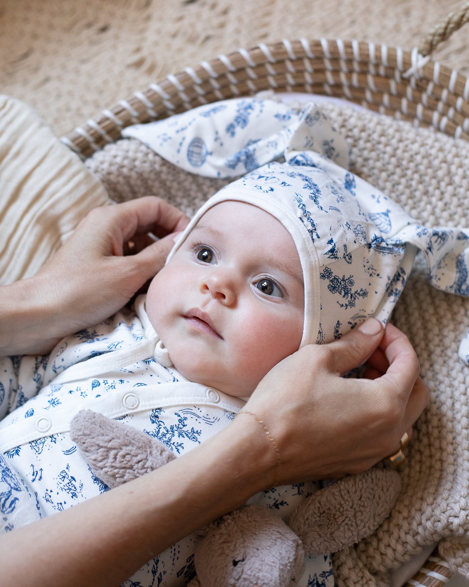 the flopsy bunny bonnet {storytime toile} (FRENCH WINK)
